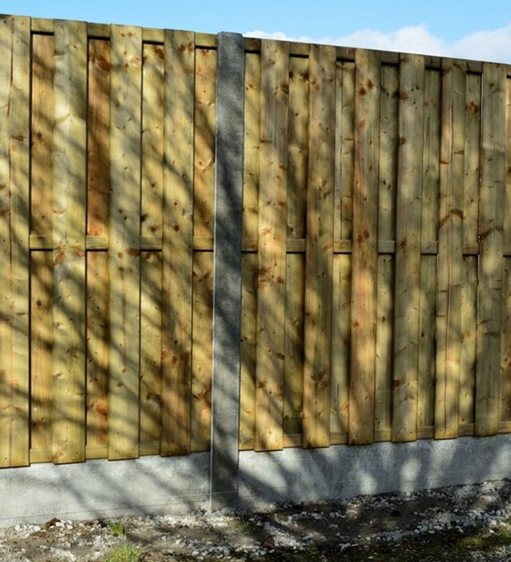 Close-boarded timber fence catching low sunlight